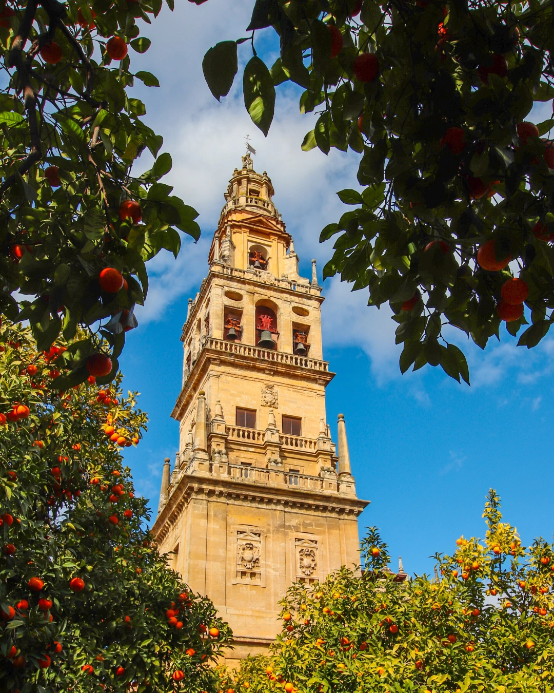 Mosque of Cordoba